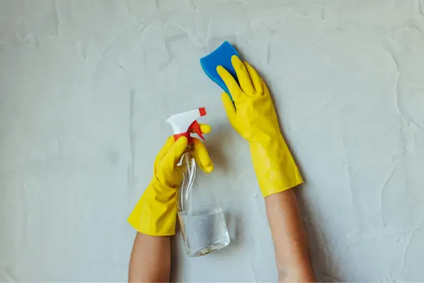 Como Tirar Mofo da Parede: 5 Formas de Resolver Esse Problema